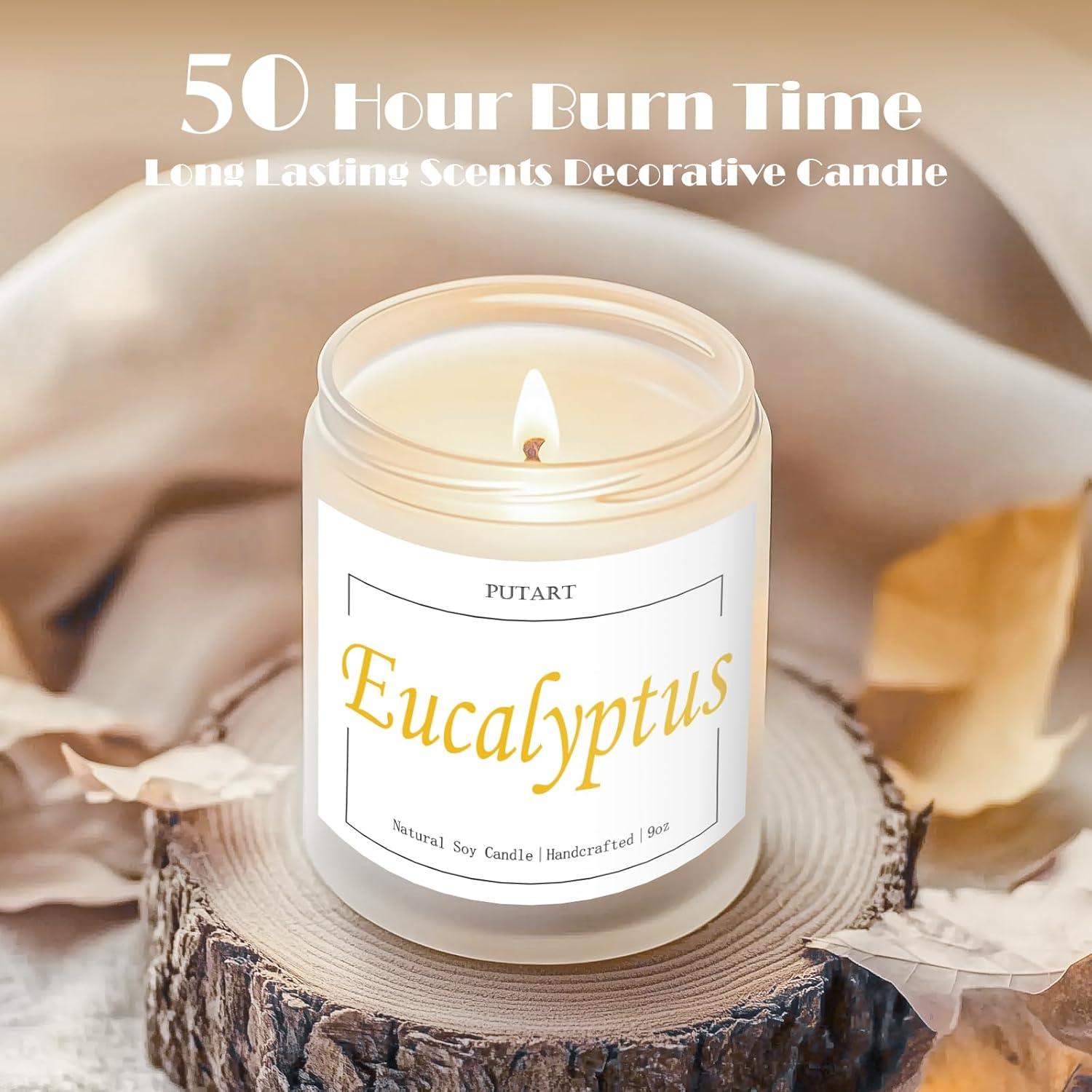 Vela Aromática de Eucalipto y Menta Putart - Cera de Soja 255g