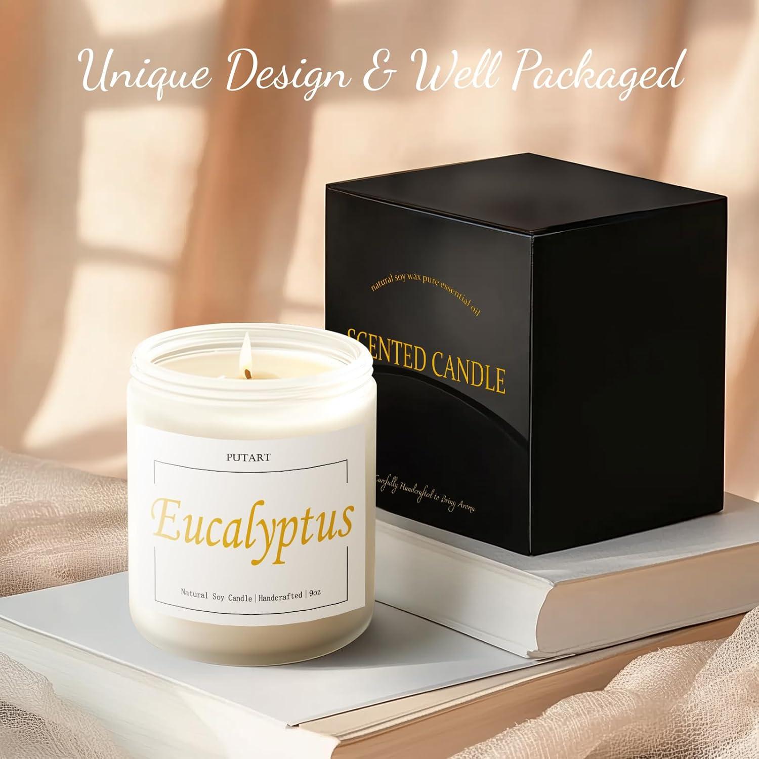 Vela Aromática de Eucalipto y Menta Putart - Cera de Soja 255g