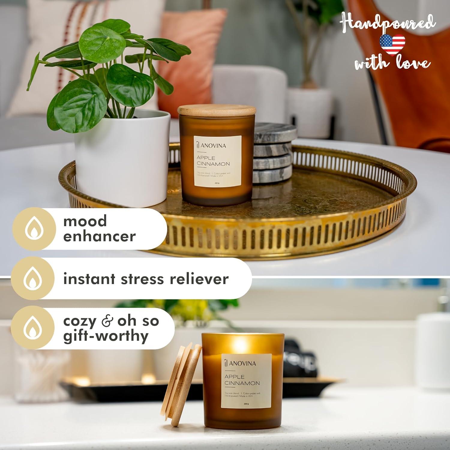 Vela Aromática Anovina Manzana Canela - Cera de Soja 10cm