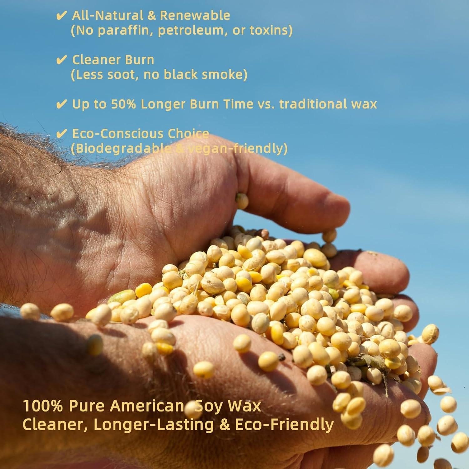 Vela Aromática de Soja ANSOYER 11oz Pachulí y Tabaco 70h