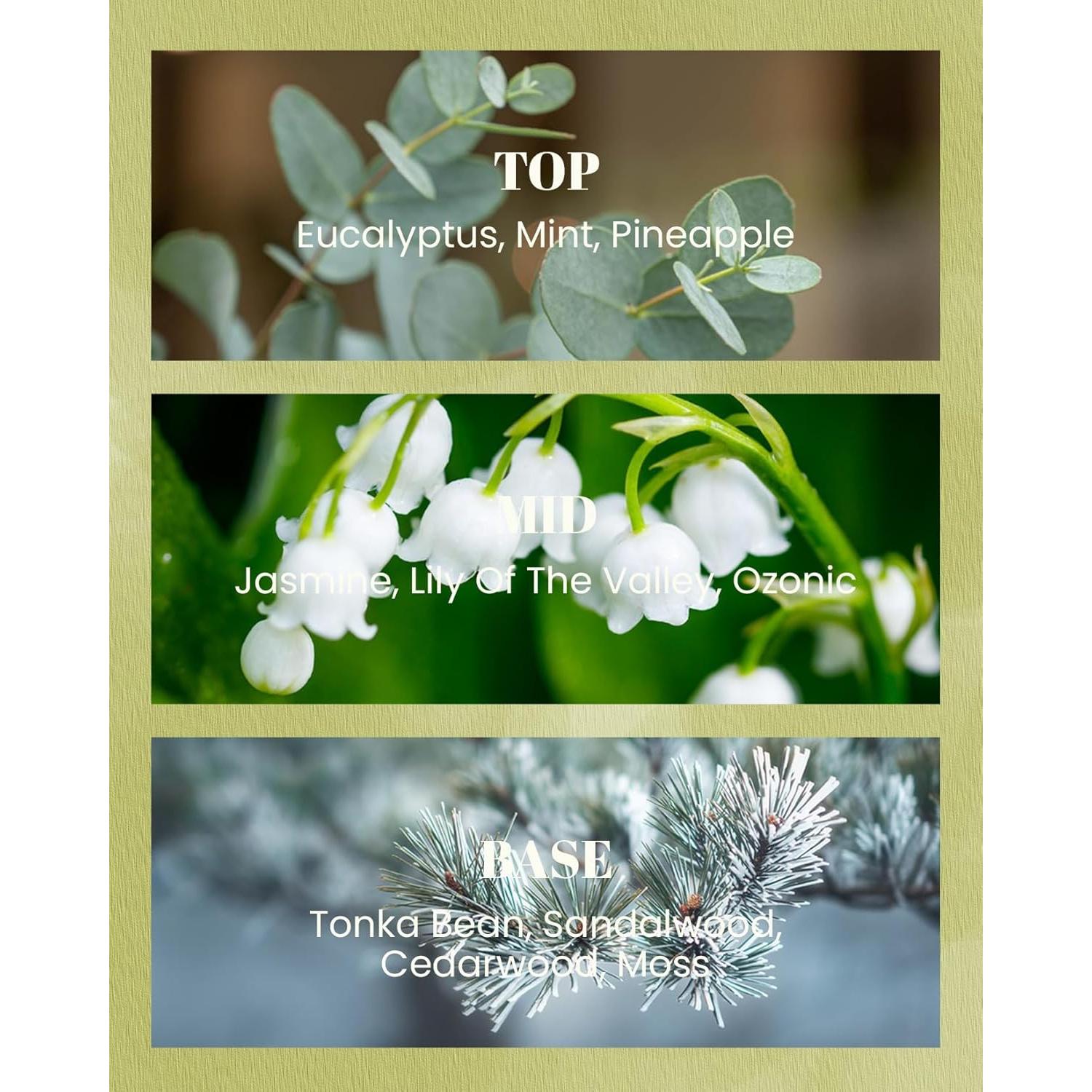 Velas Veganas M&SENSE Eucalipto y Menta 283.5g 42h