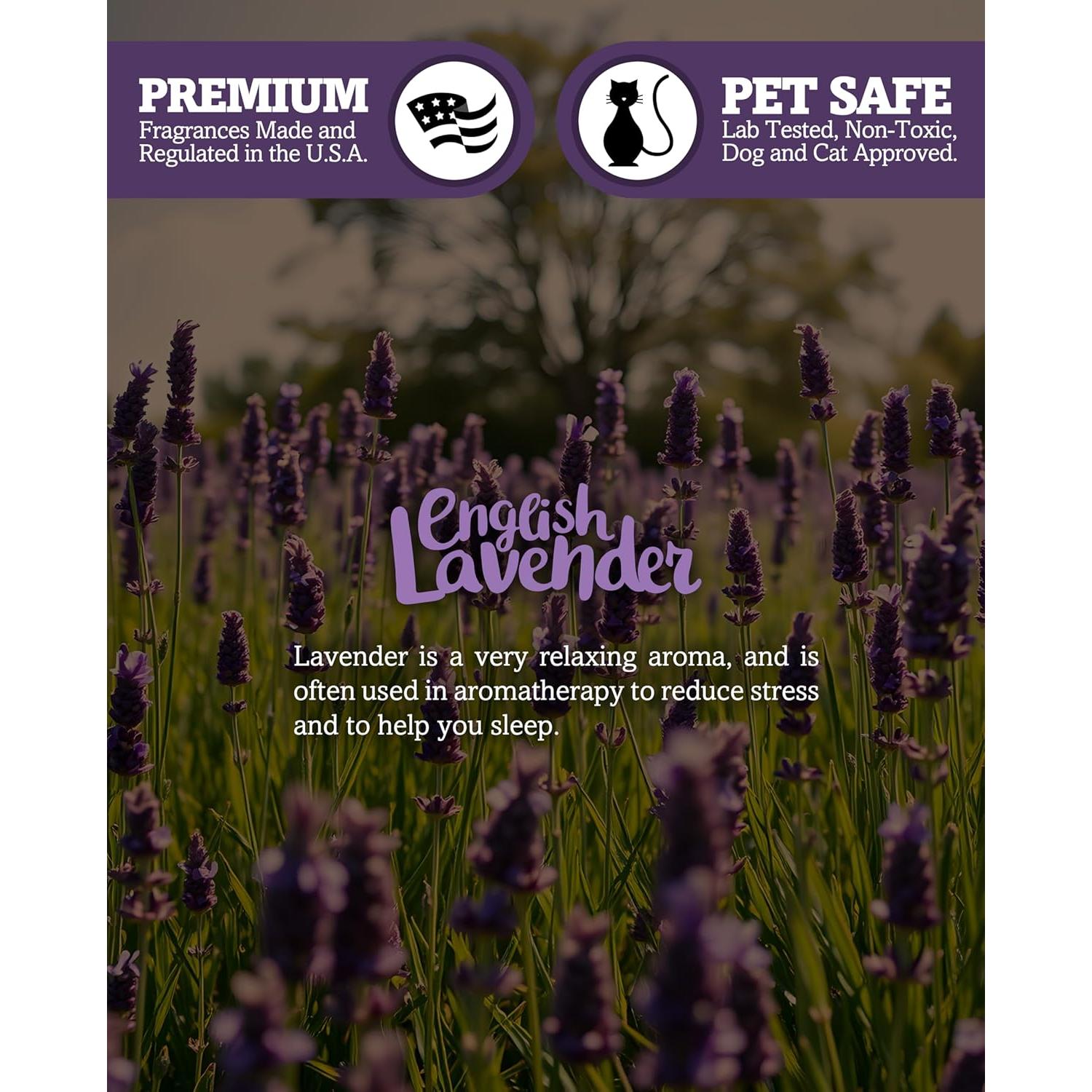 Velas Votivas de Soja Shortie's - Lavanda Inglesa - 6 Recargas