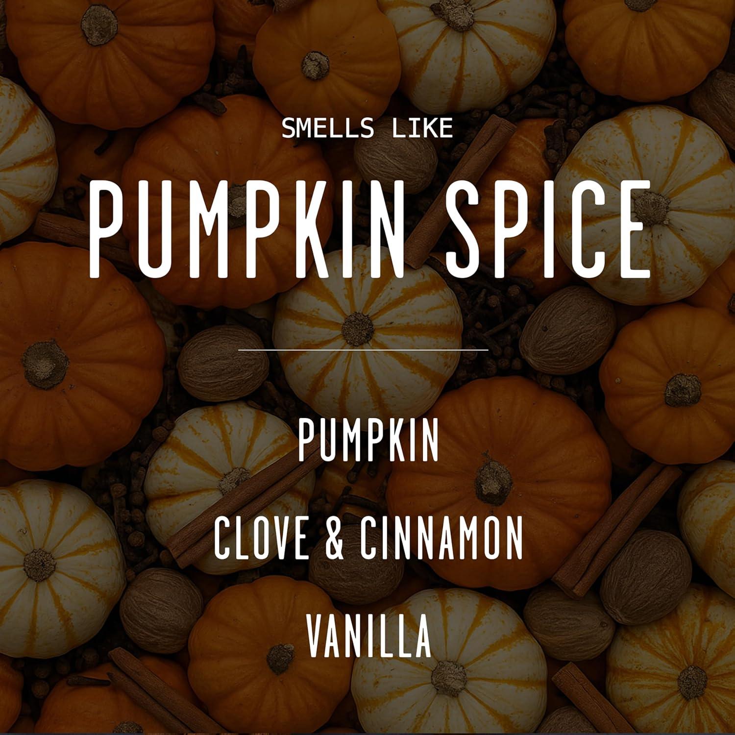 Vela Aromática de Especias de Calabaza Soy y Sass 255g