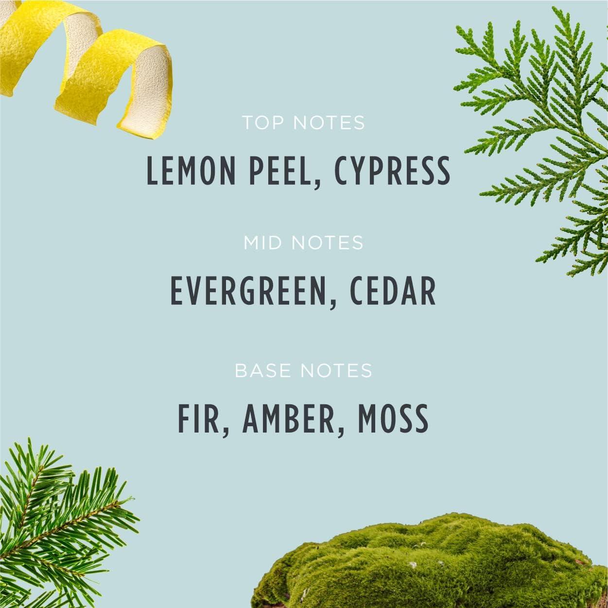 Vela de Navidad Santa's Naturals Abeto Fraser 255g - Quema 30h