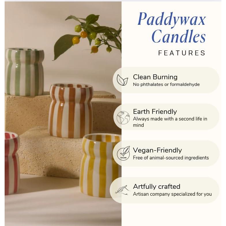 Vela Aromática Paddywax Cabana Lavanda 184 g - Quema Limpia