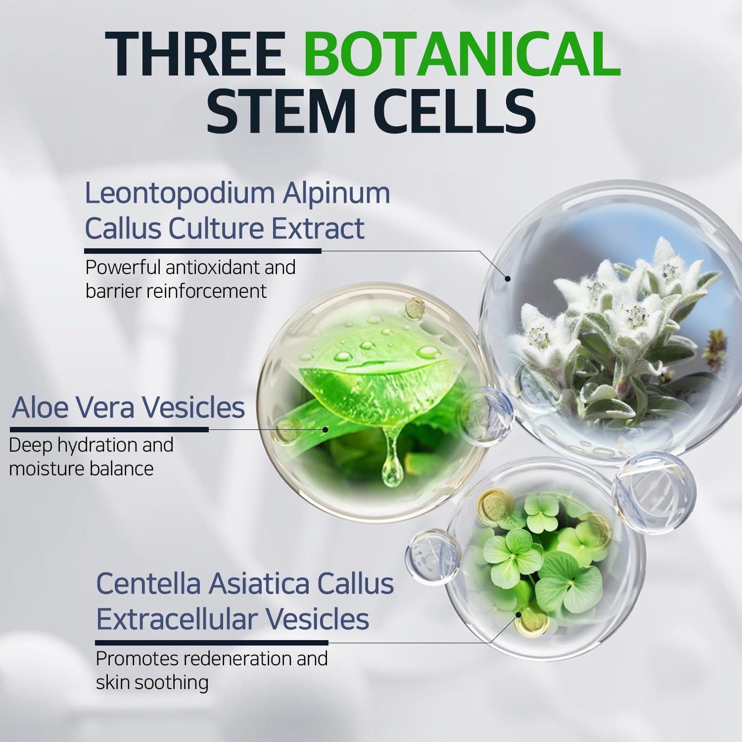 Crema Nocturna Antienvejecimiento Picostech 50 ml con Retinol y Péptidos