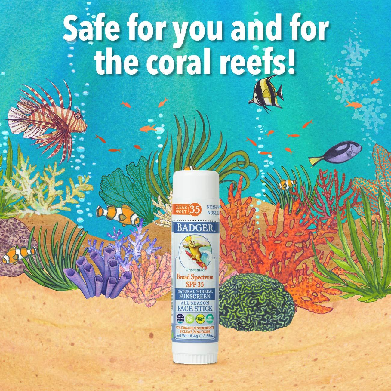 Combo Protector Solar Mineral Badger SPF 30 y Stick SPF 35