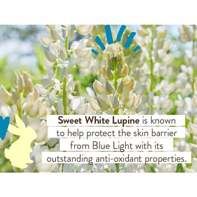 Protector Solar Mineral Babo Botanicals SPF50 Tinte Diario