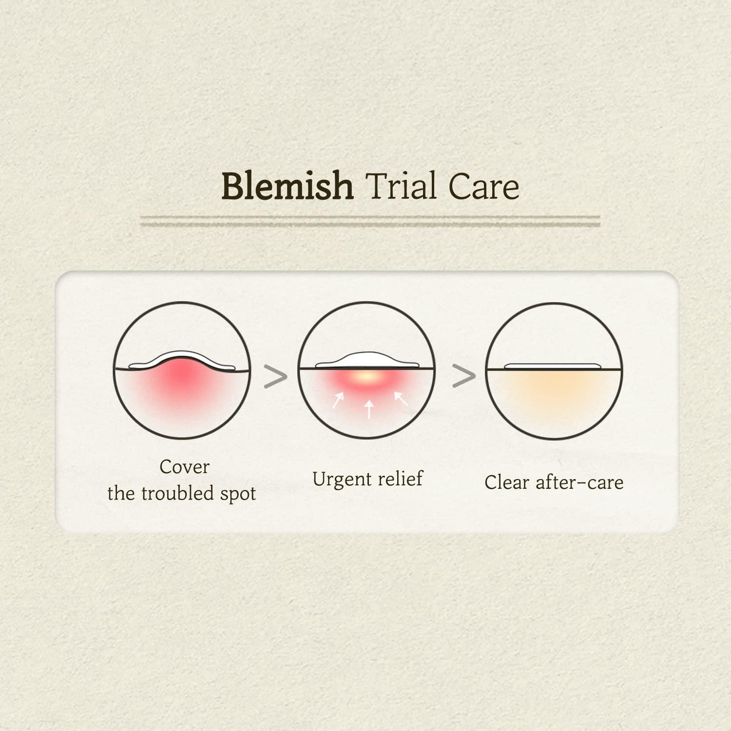 Parche Hidrocoloide SKINFOOD Cica Clear 100 Unidades