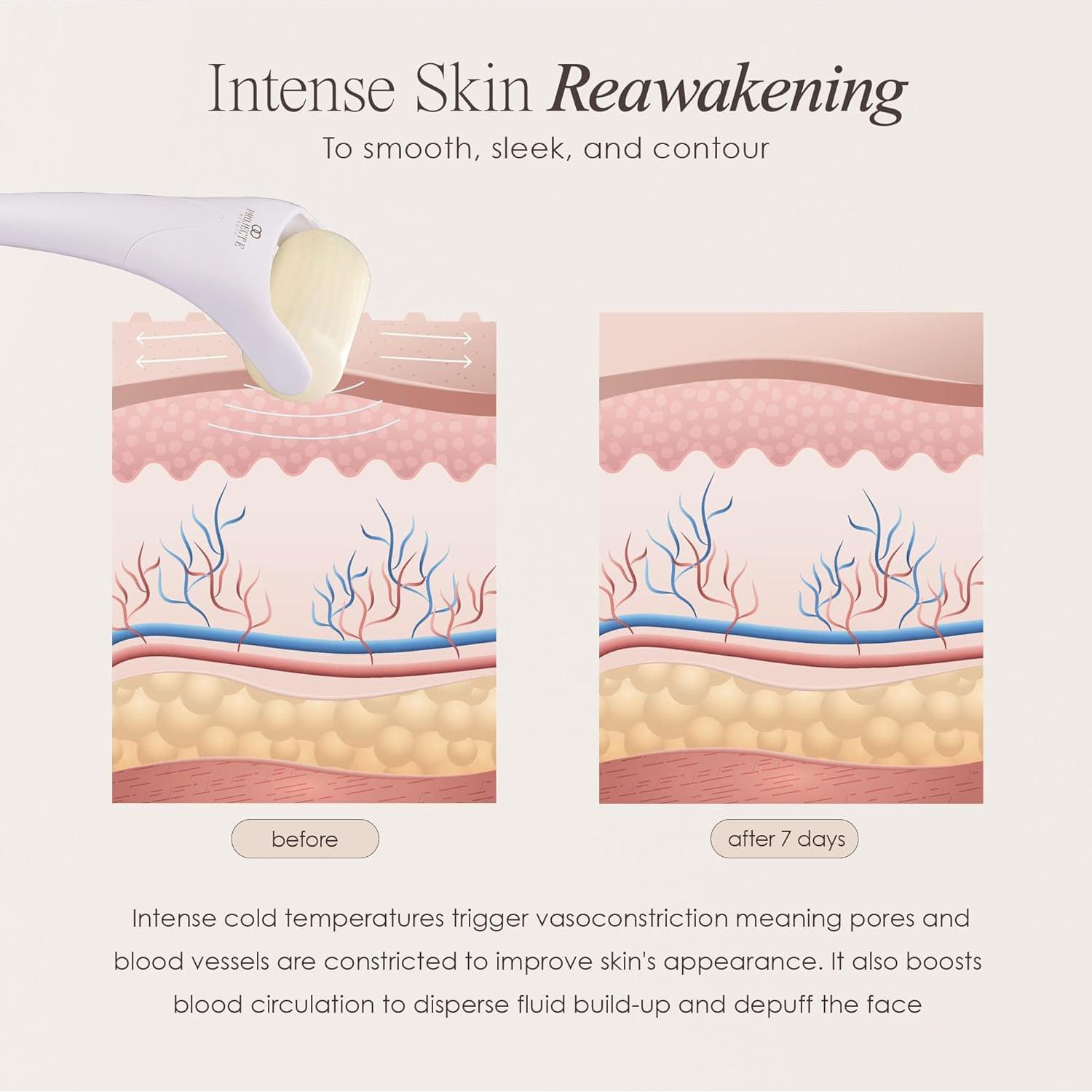 Rodillo de Hielo Project E Beauty | Masaje Facial 19.2cm