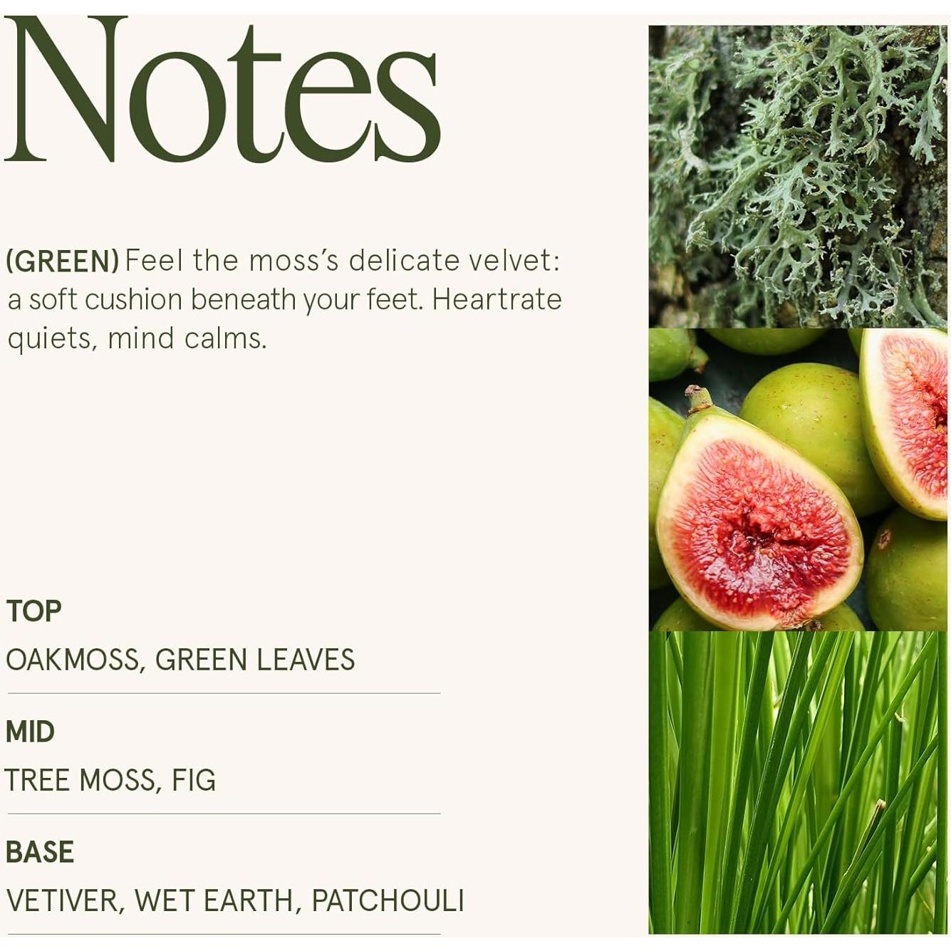 Vela Aromática LA JOLIE MUSE Hiedra y Musgo 170 g Cera Soja