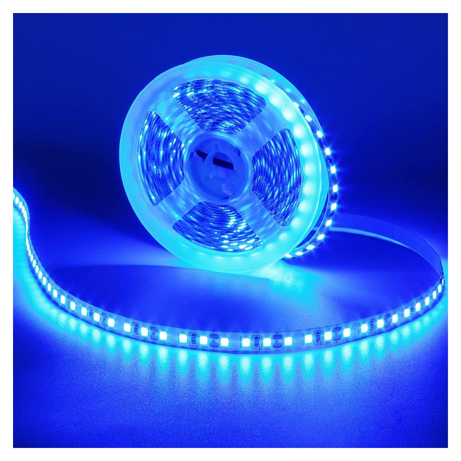 Tira LED 12V 5M Azul QX SMD2835 600 LEDs Alta Brillo