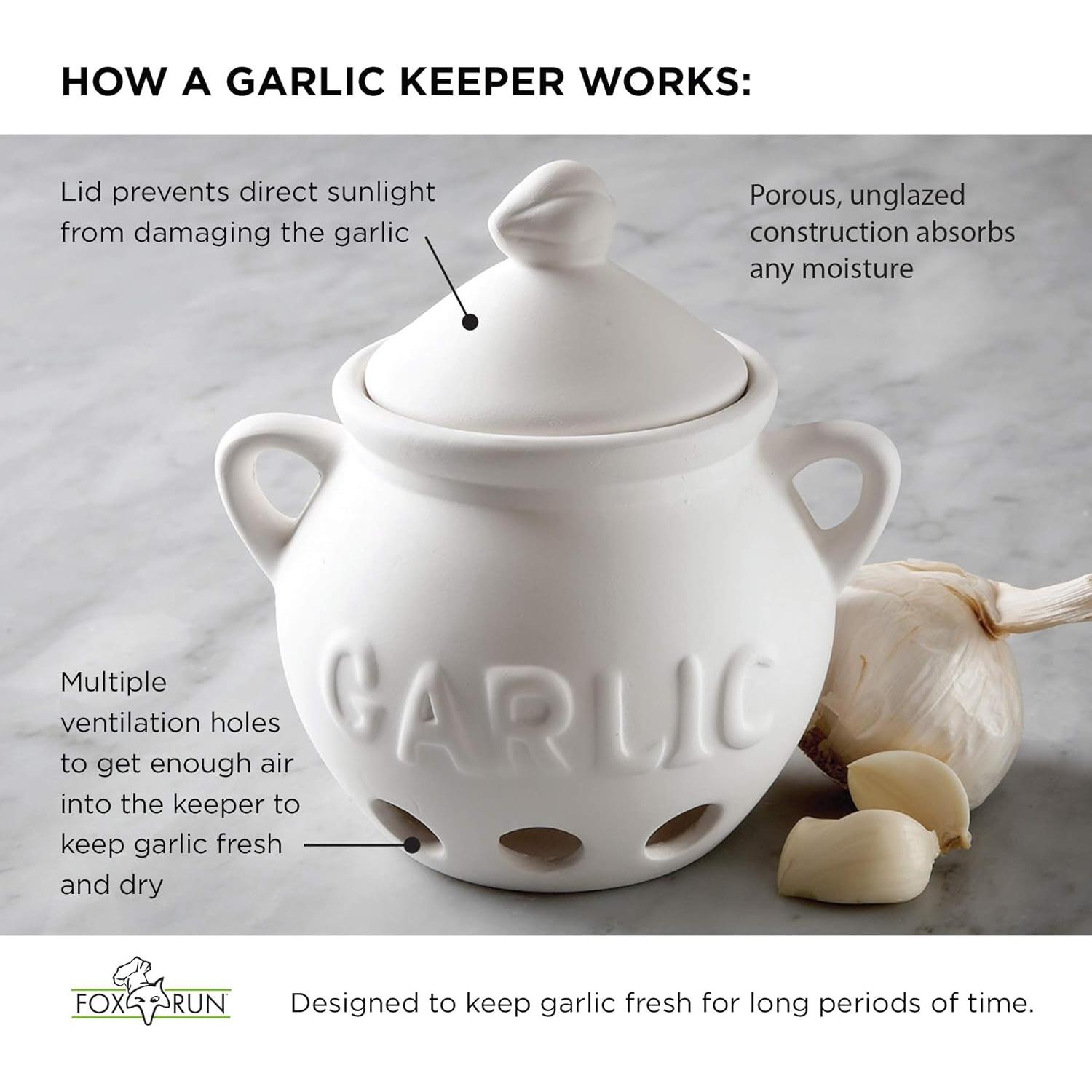 Guardador de Ajo Fox Run de Terracota Rojo 10.8x13.3 cm