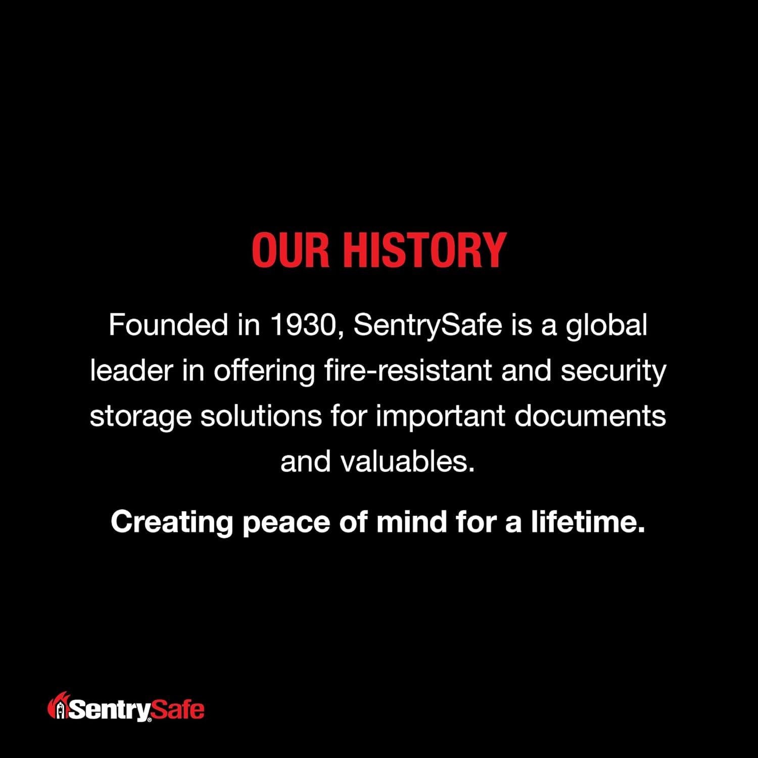 Bolsa SentrySafe Resistente al Fuego y Agua 22.86x33.02cm