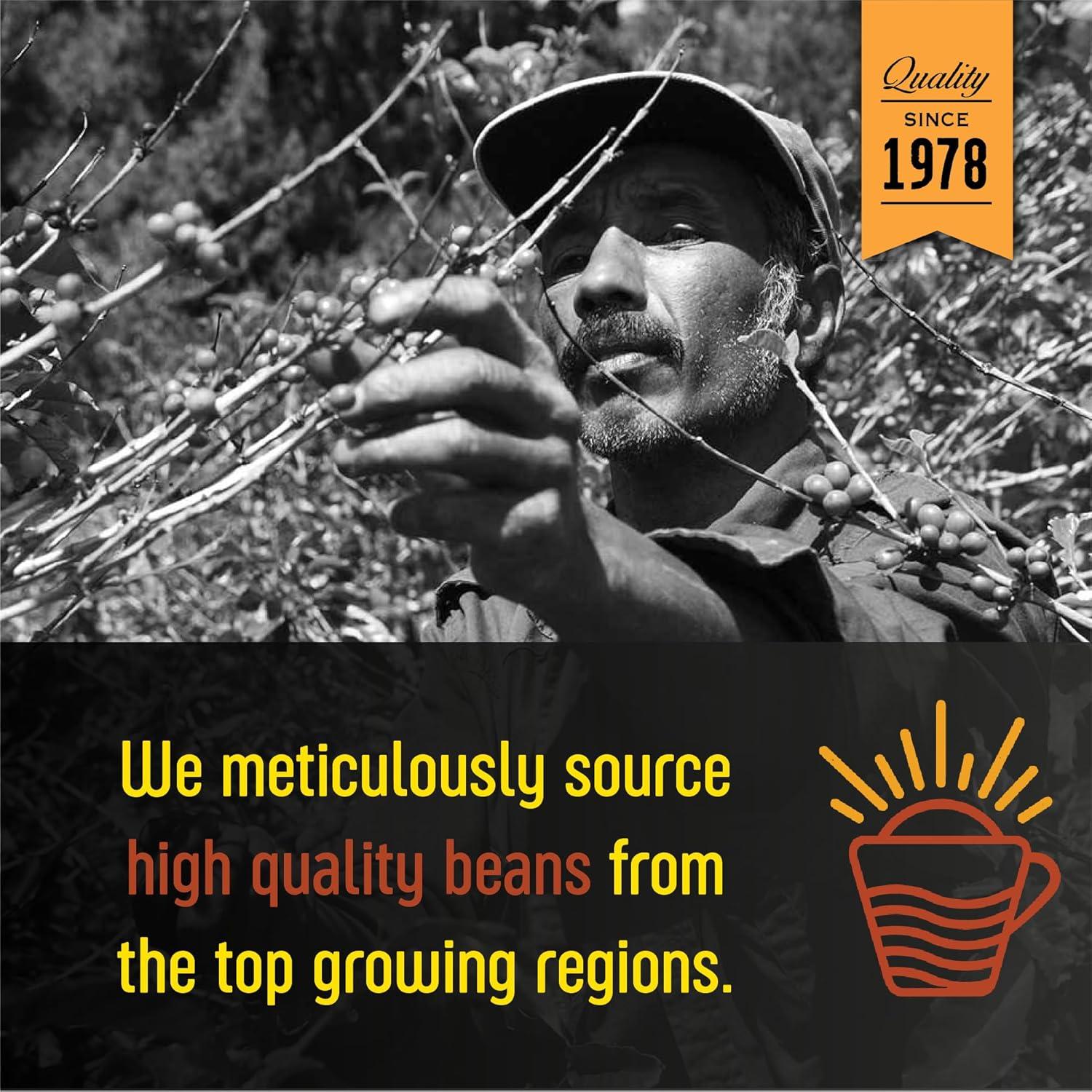 Café Espresso Tostado Oscuro The Bean Coffee 2 x 454g