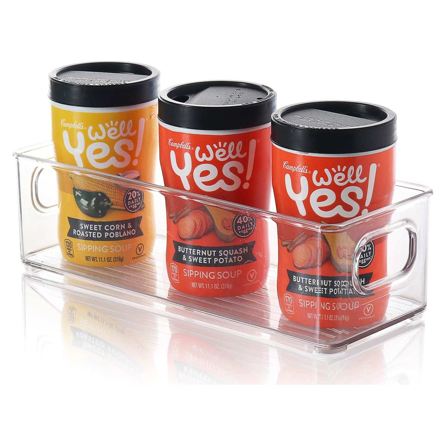 Contenedor Organizador StorageBud - Plástico Transparente 25.4x10.2cm