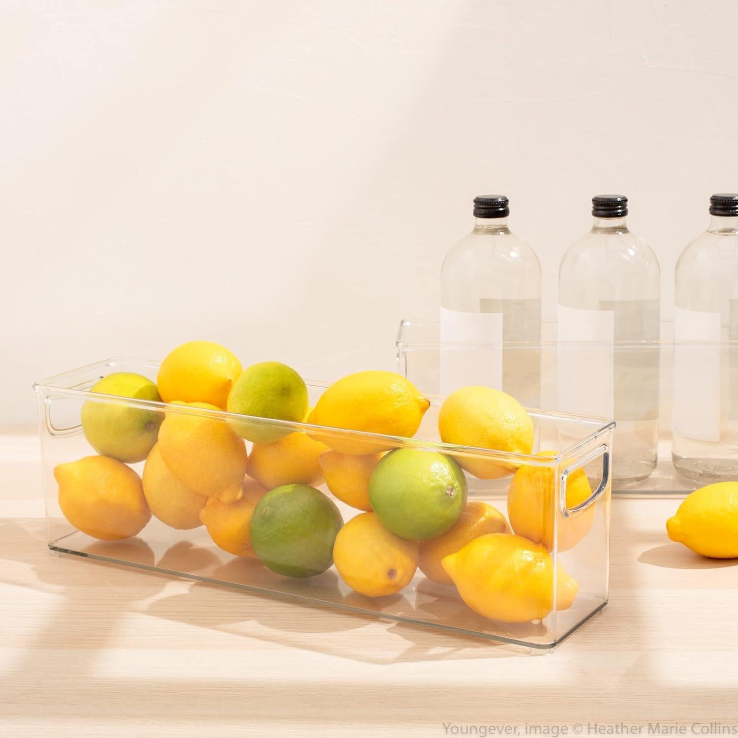 Contenedor Organizador de Almacenamiento Youngever 2 Pack 40.6x10.2x12.7cm