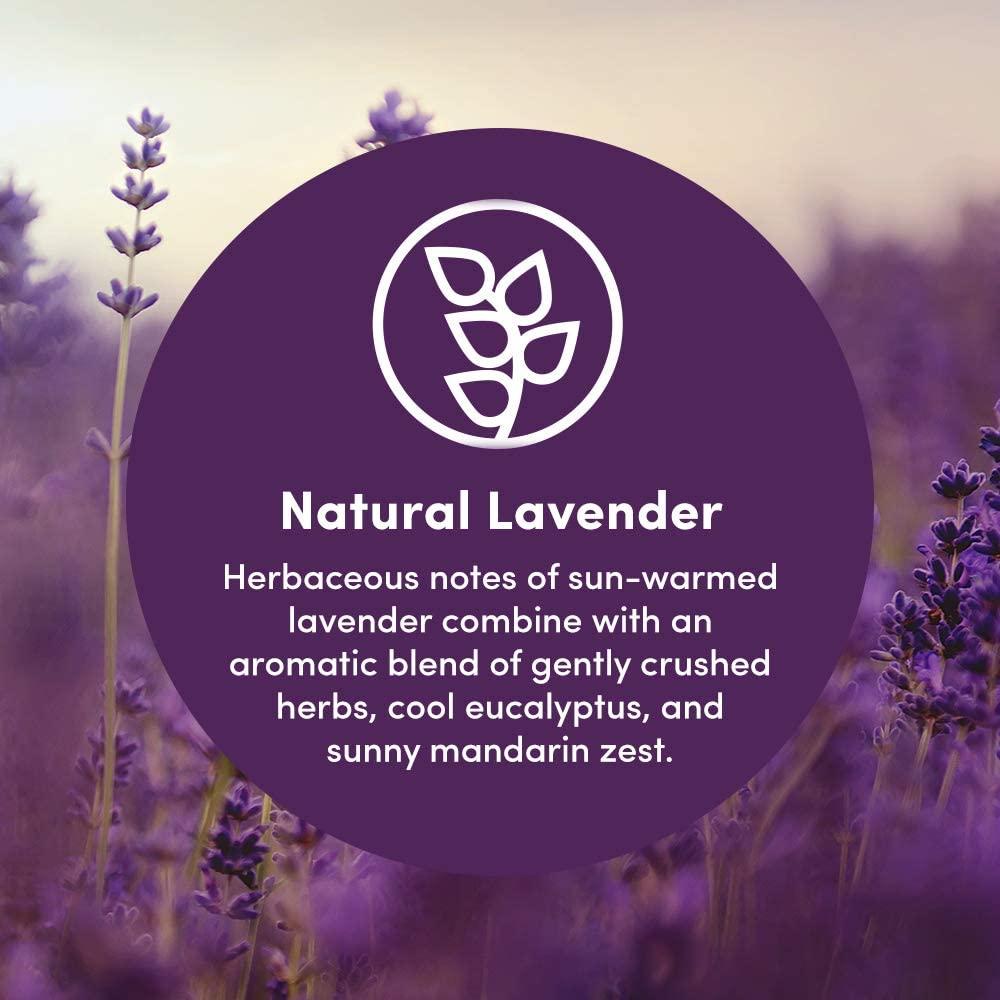 Contenedor Recarga Jabón Espumoso Clean Revolution 3.63kg Lavanda