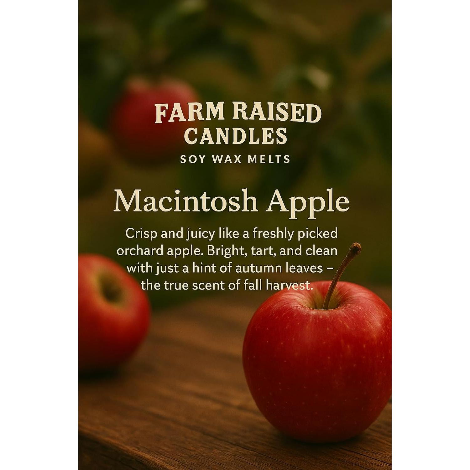 Melts de Cera de Soja Manzana McIntosh - Velas Criadas en Granja - 2 Paquetes de 170g