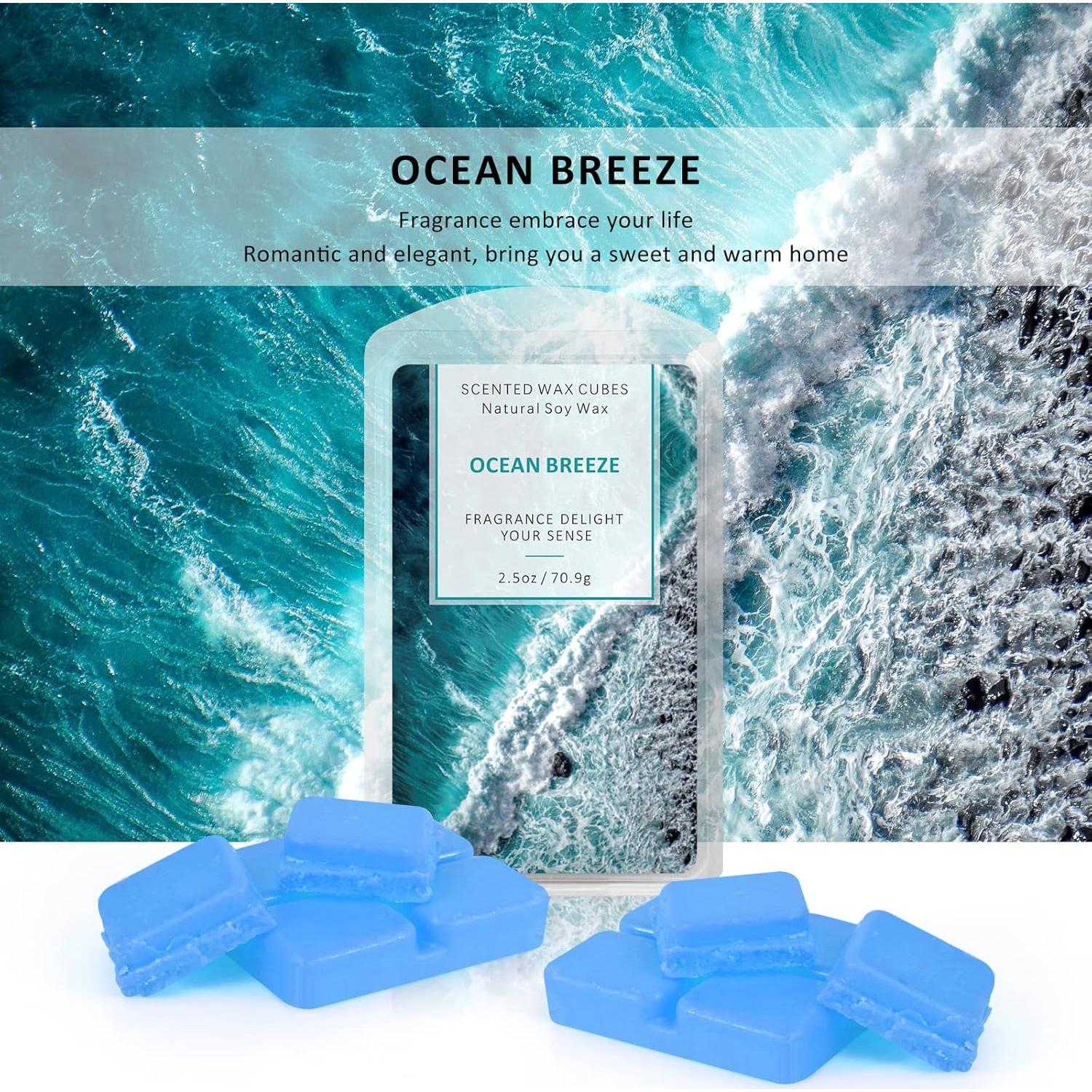 Cubos de Cera Aromática STRN de Soja - Set 4 Aromas 370 g