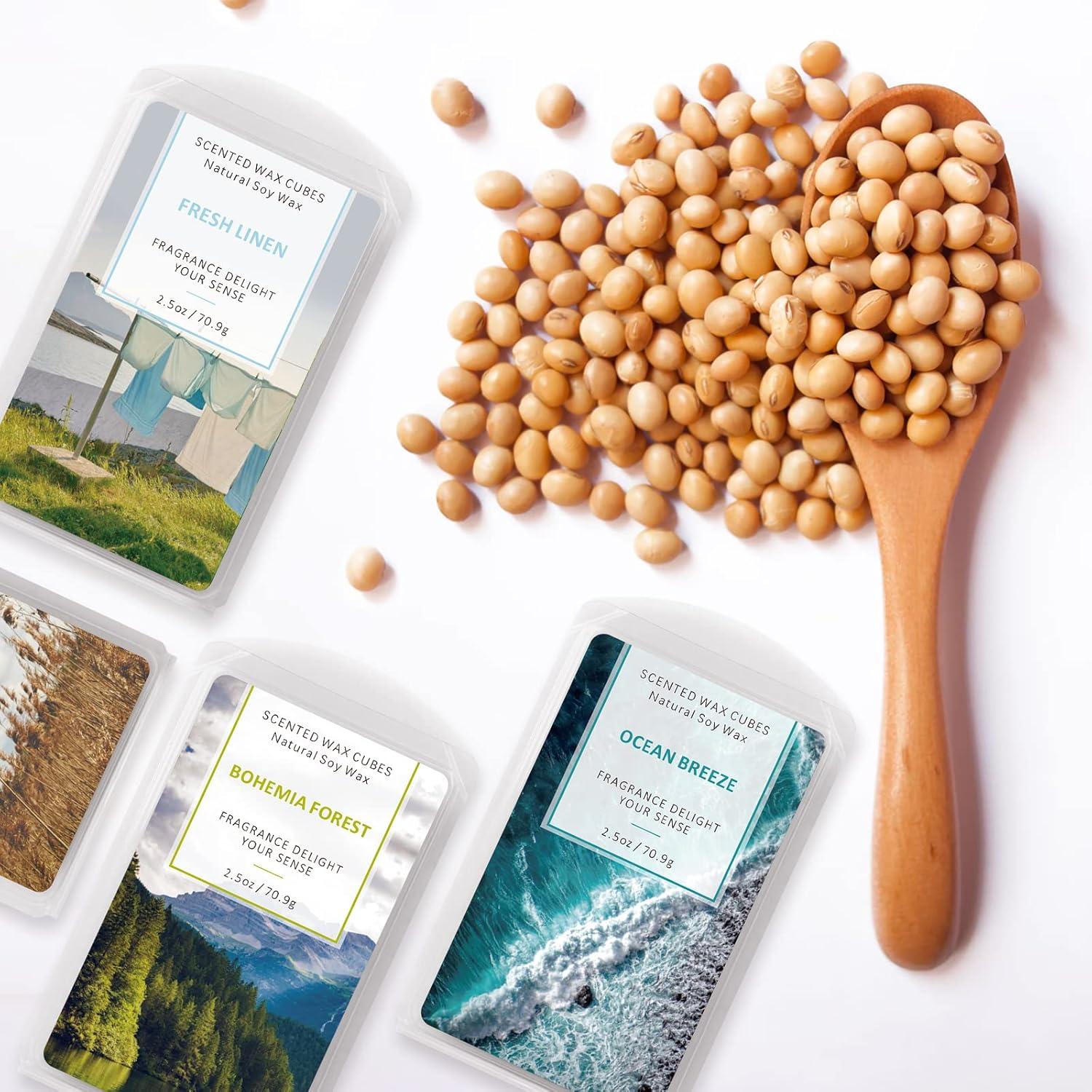 Cubos de Cera Aromática STRN de Soja - Set 4 Aromas 370 g