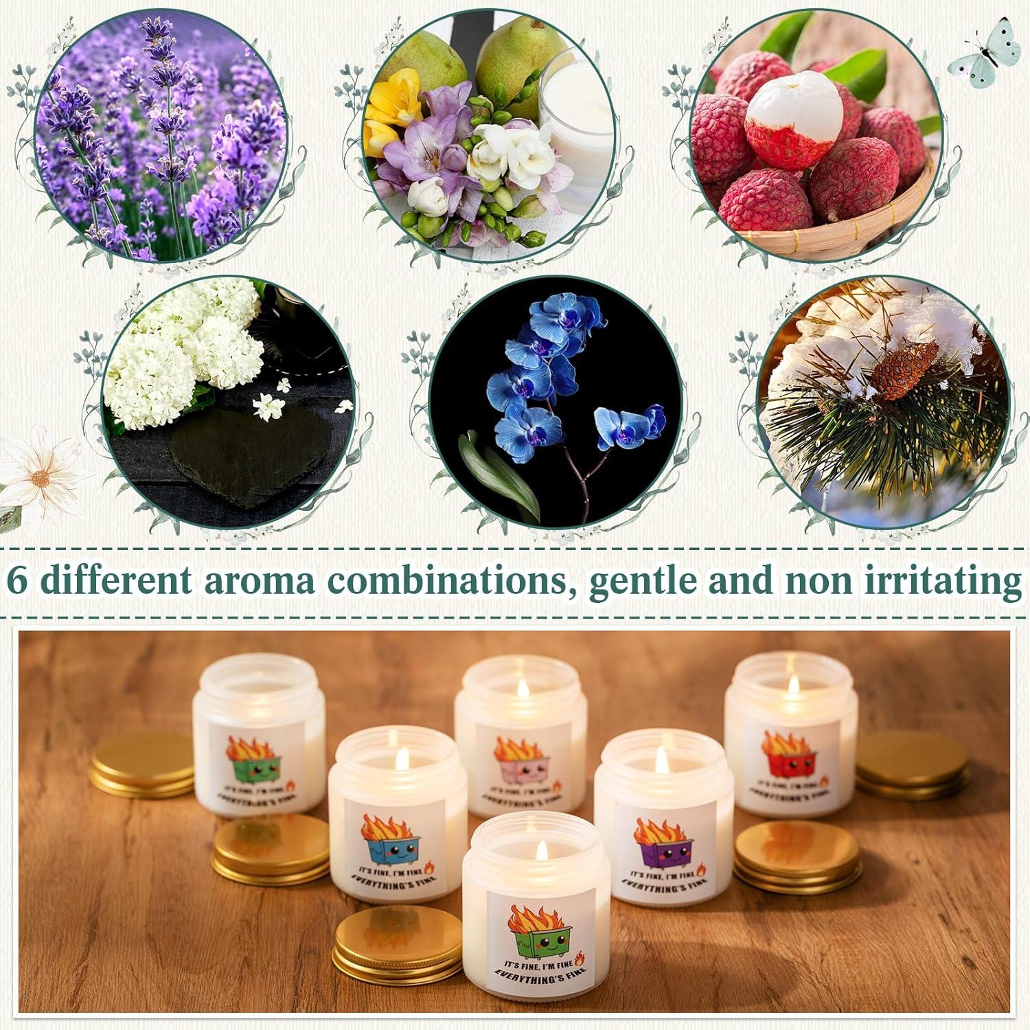 Paquete de 12 Velas Aromáticas de Soja Conelist - 6 Fragancias