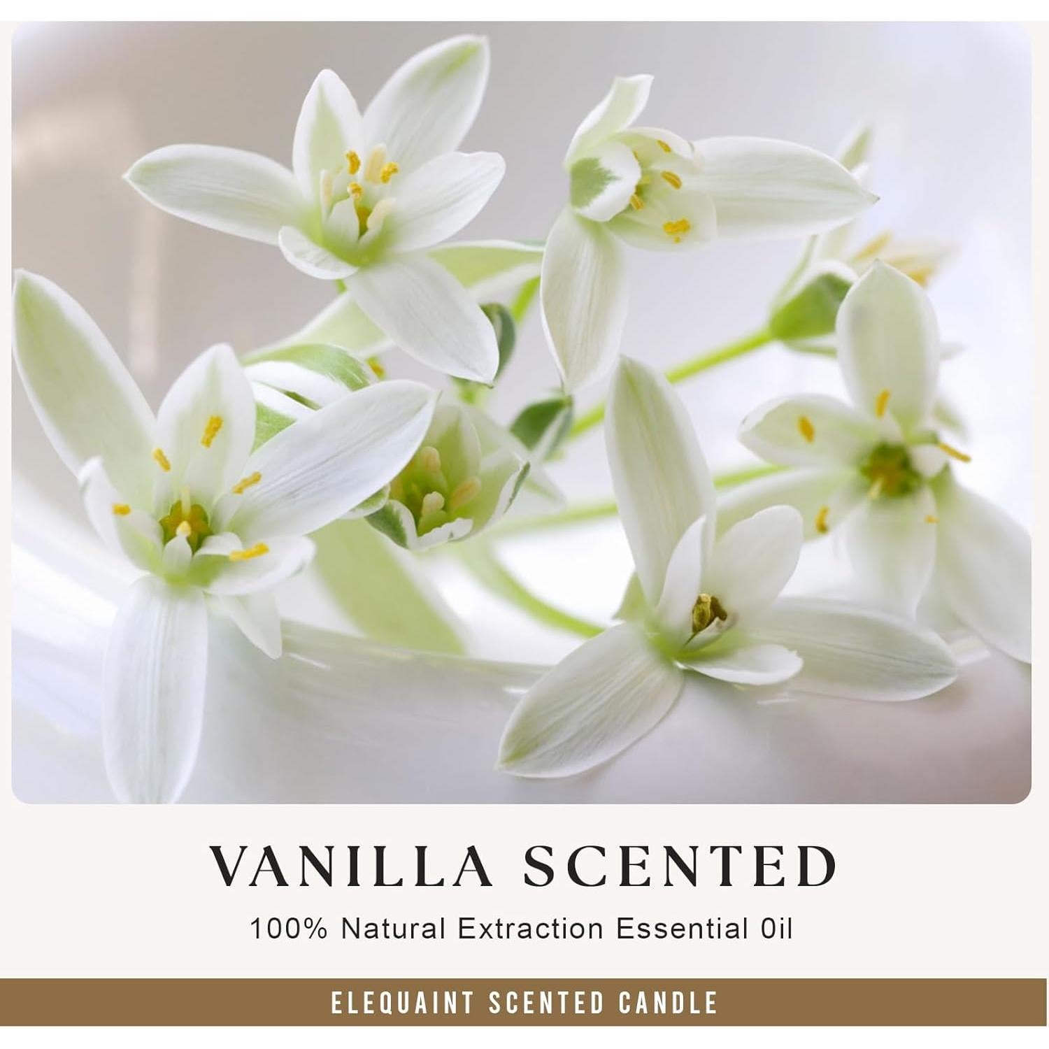 Vela Aromática de Vainilla Elequaint - Regalo Inauguración Casa