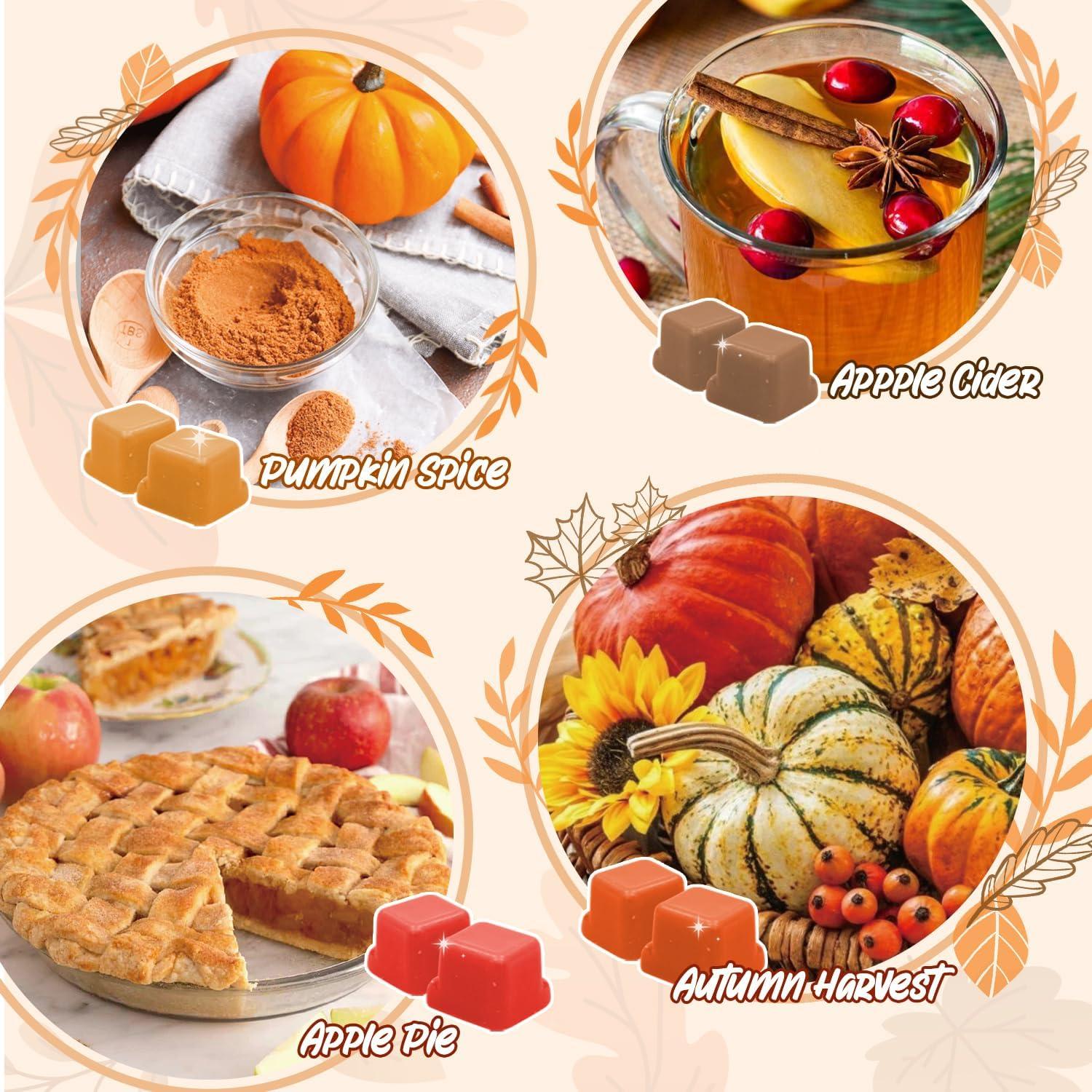 Cera Aromática de Soja SoulOrigin Otoño 6 Fragancias 500g