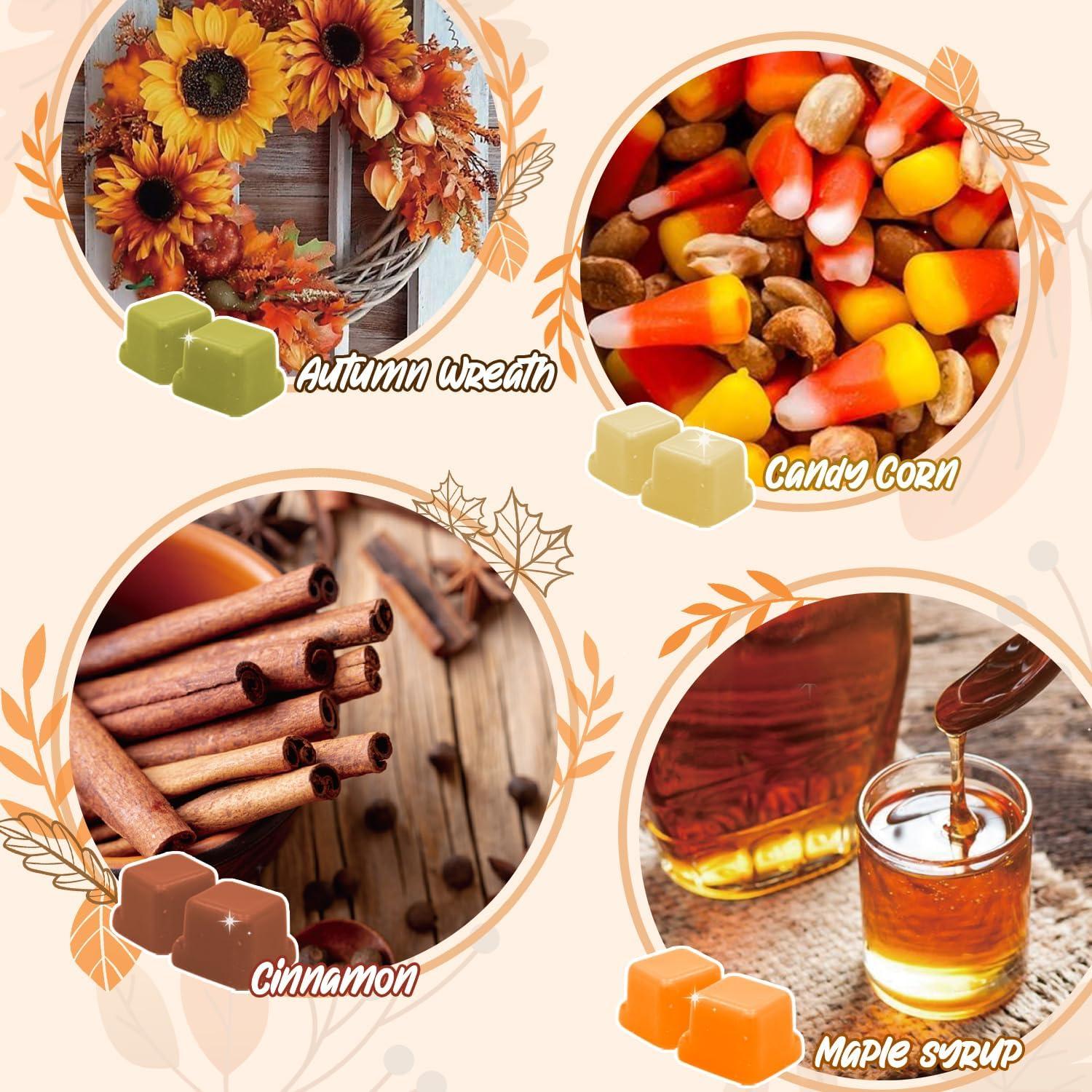 Cera Aromática de Soja SoulOrigin Otoño 6 Fragancias 500g