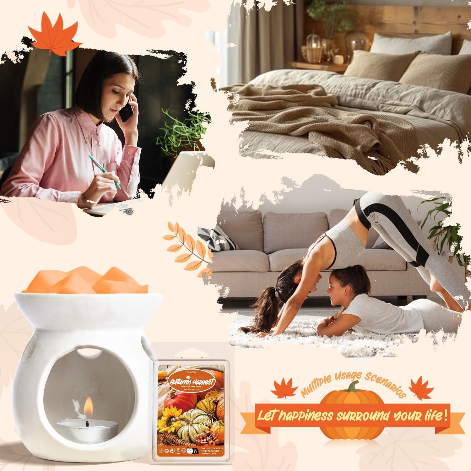 Cera Aromática de Soja SoulOrigin Otoño 6 Fragancias 500g