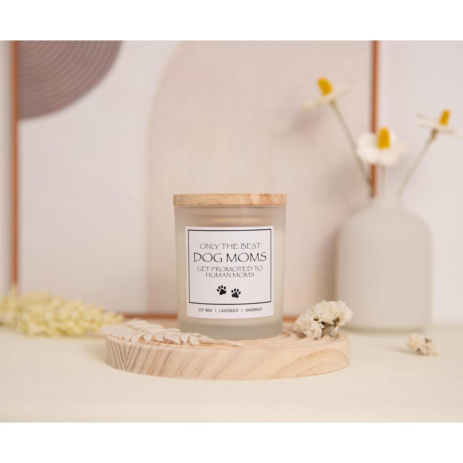 Vela Aromática Lavanda Amigable con Mascotas - Regalo Divertido