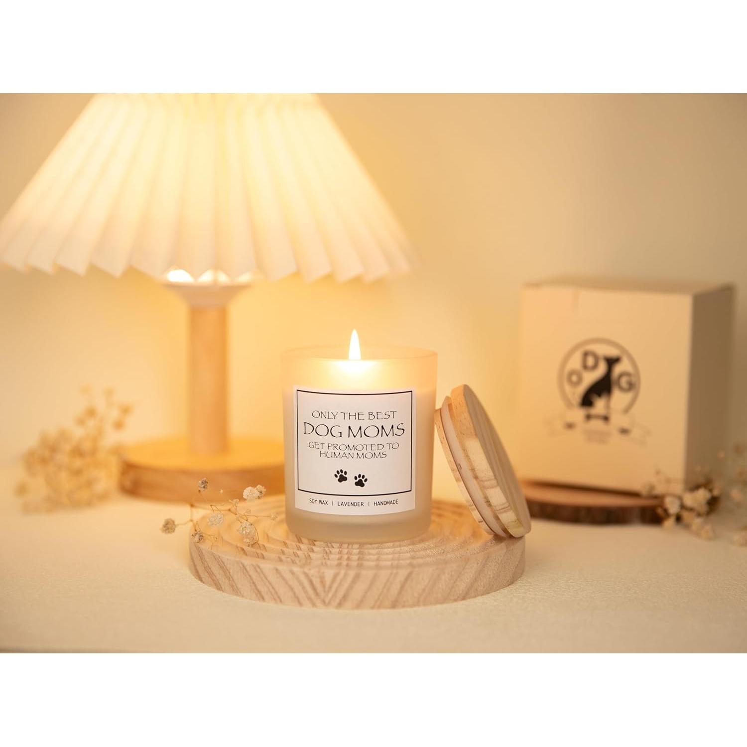 Vela Aromática Lavanda Amigable con Mascotas - Regalo Divertido