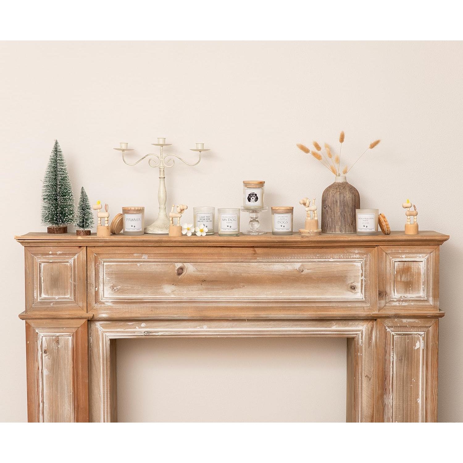 Vela Aromática Lavanda Amigable con Mascotas - Regalo Divertido