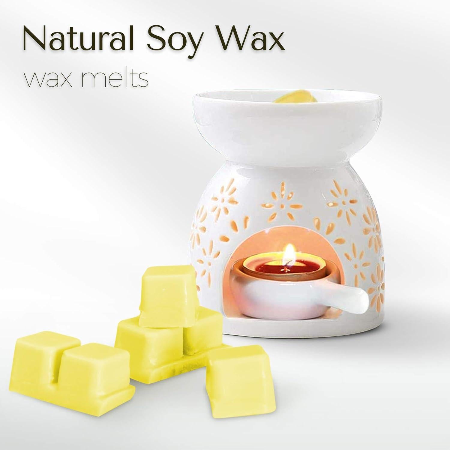 Ceras Aromáticas SCENTORINI 8x70.9g - Vainilla, Coco, Canela