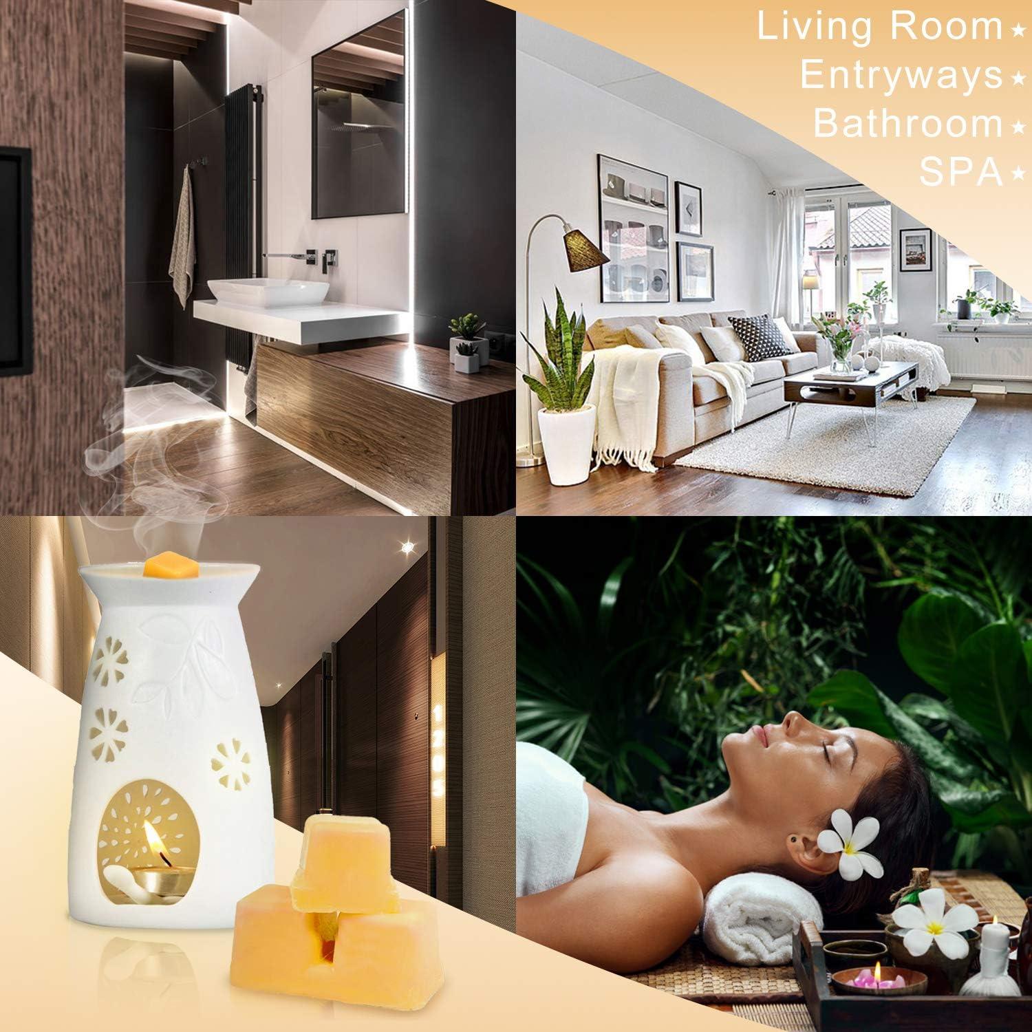 Ceras Aromáticas SCENTORINI 8x70.9g - Vainilla, Coco, Canela