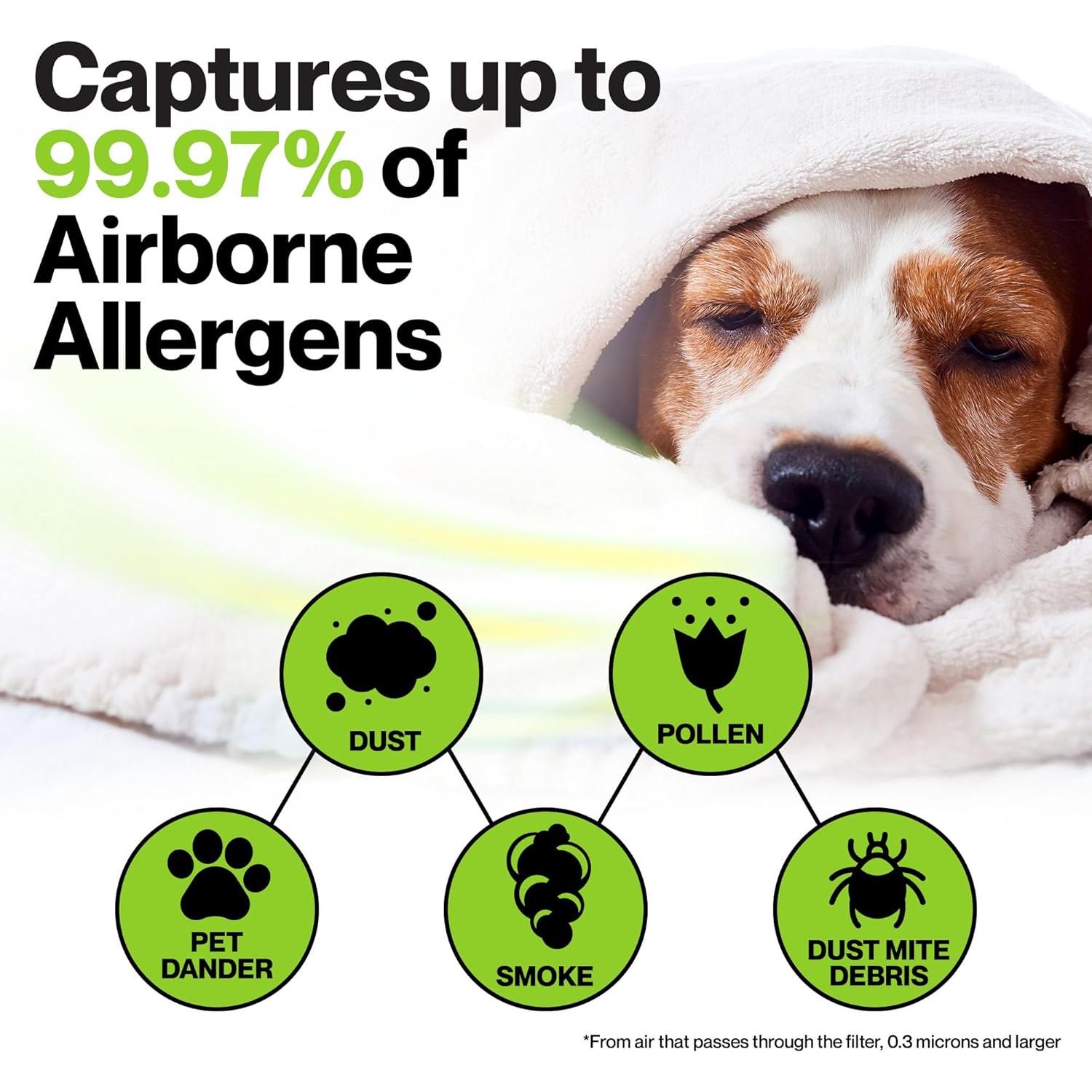 Filtro HEPA Durabasics AP-1512HH para Purificador Coway