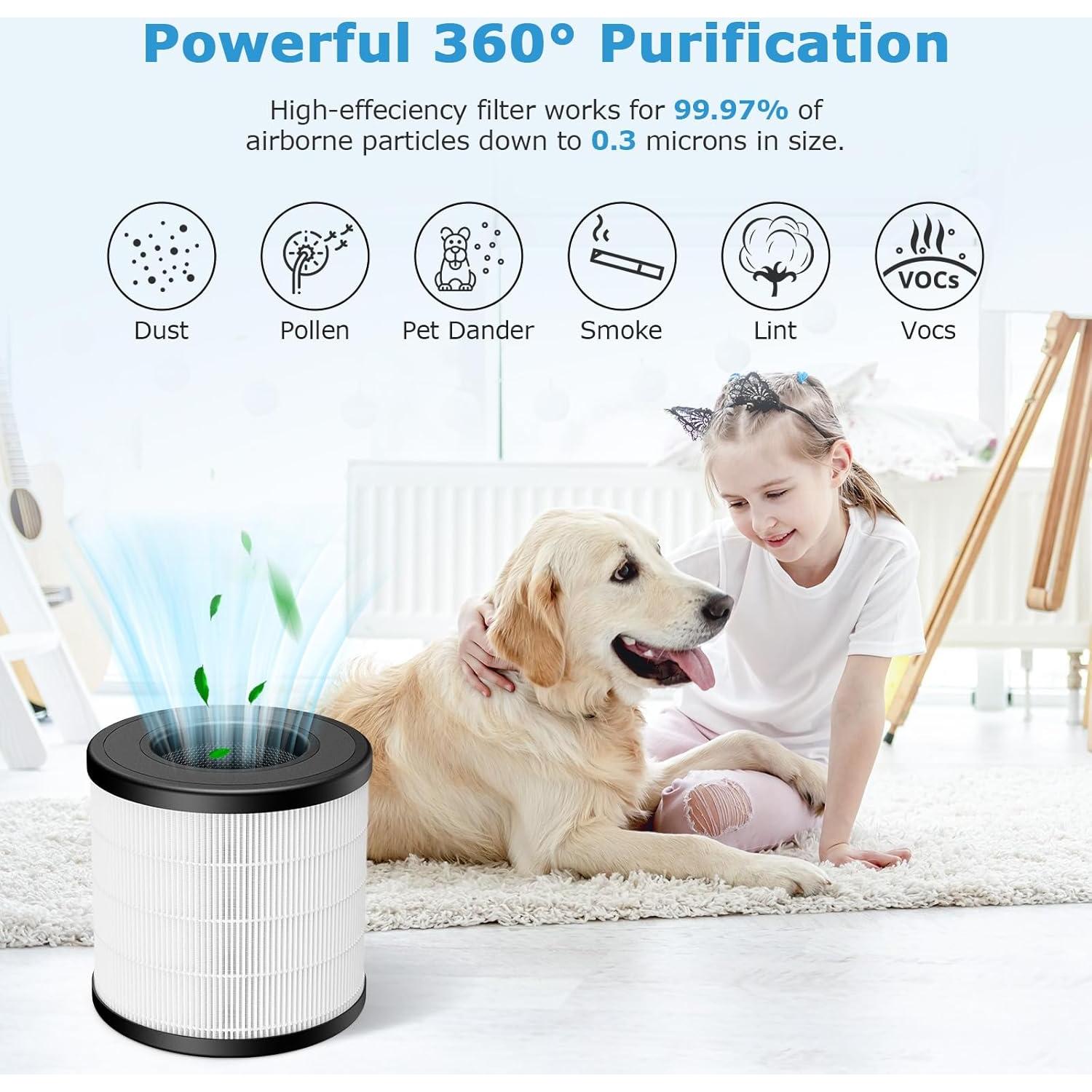 Filtro HEPA 3-en-1 iSingo PU-P05/AC201B - Paquete de 2