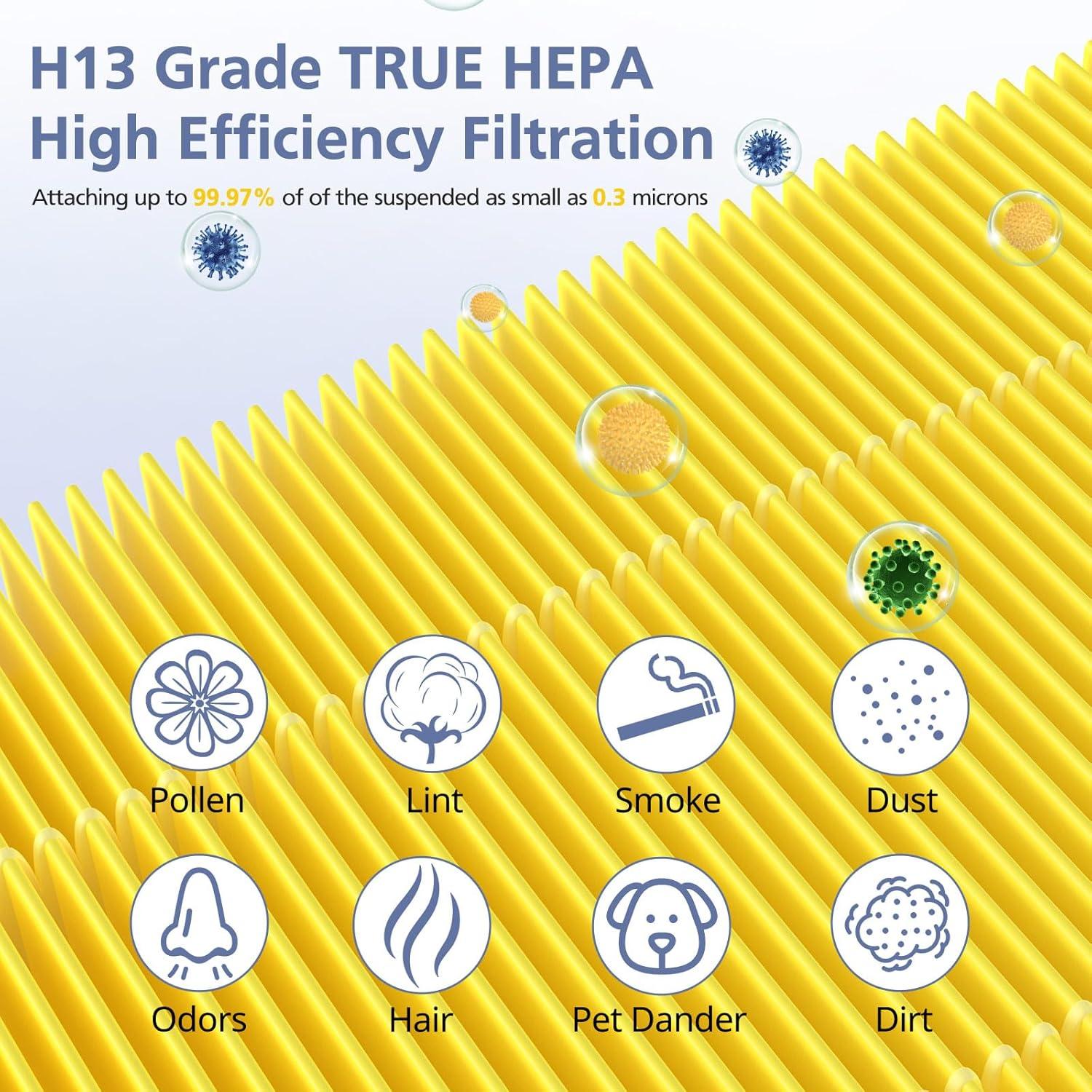 Filtro de Aire HEPA G3 Ecleanfy 2 Paquetes para Mascotas