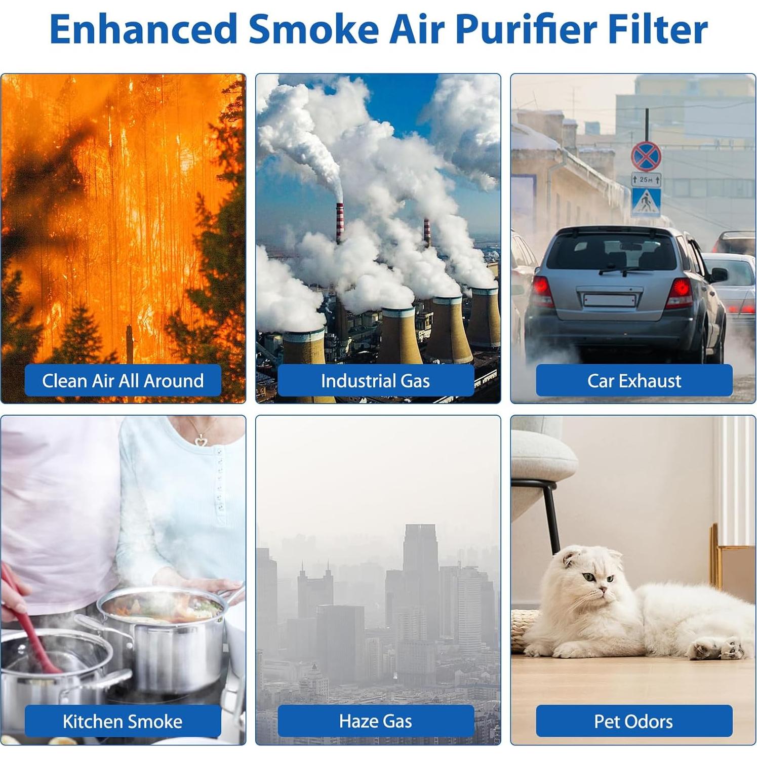 Paquete de 2 Filtros HEPA Colorfullife para Purificador LEVOIT