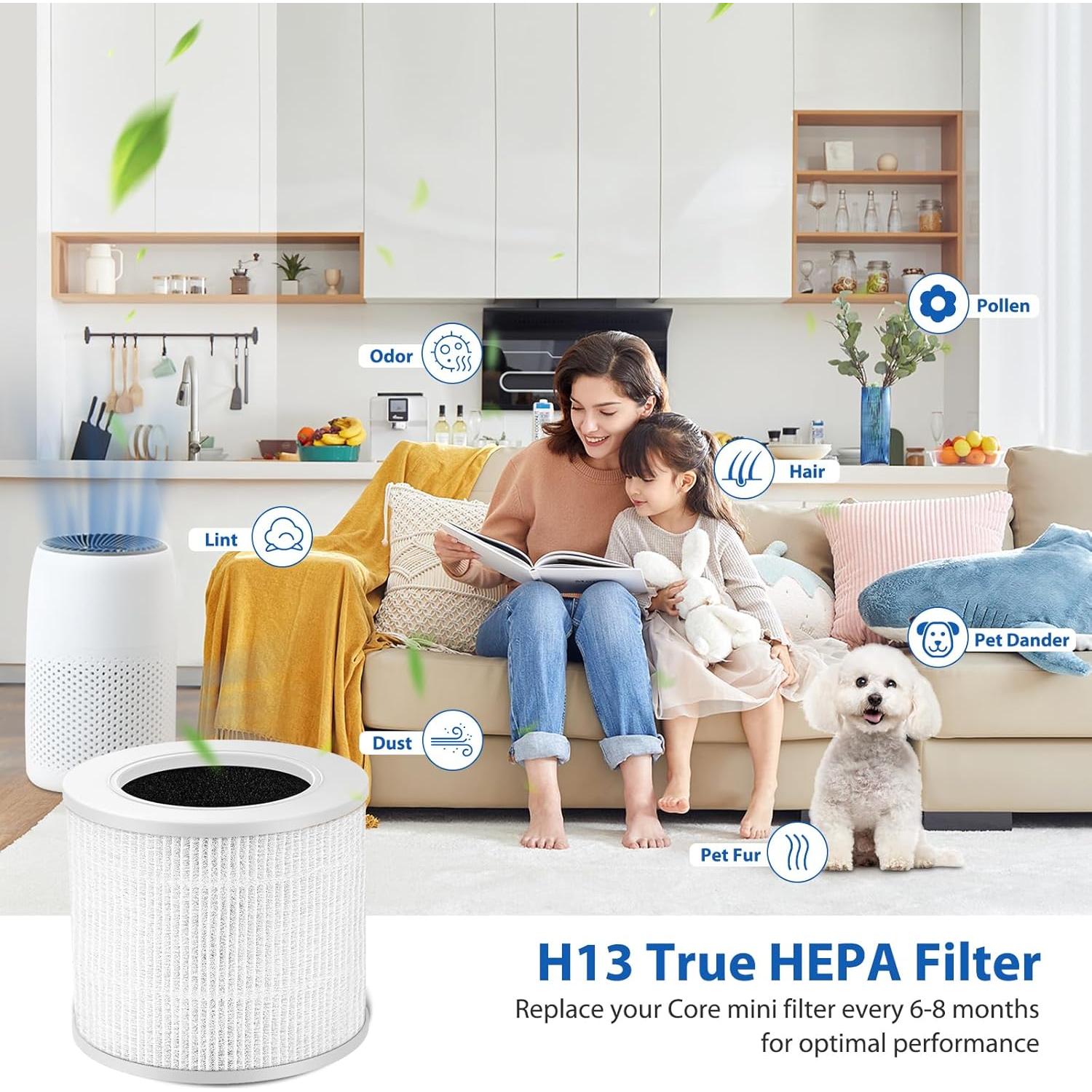 Paquete de 2 Filtros HEPA Colorfullife para Purificador LEVOIT