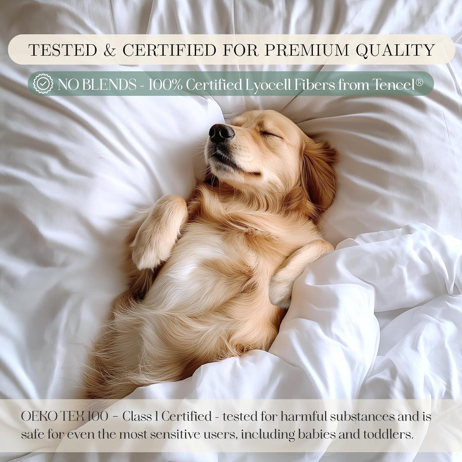 Juego de Sábanas Queen CASILVA 100% Tencel Eucalipto