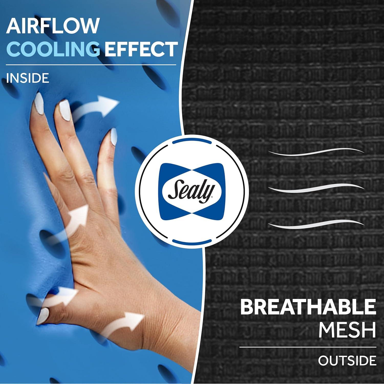 Almohada de Cuello Viscoelástica Sealy para Coche y Oficina