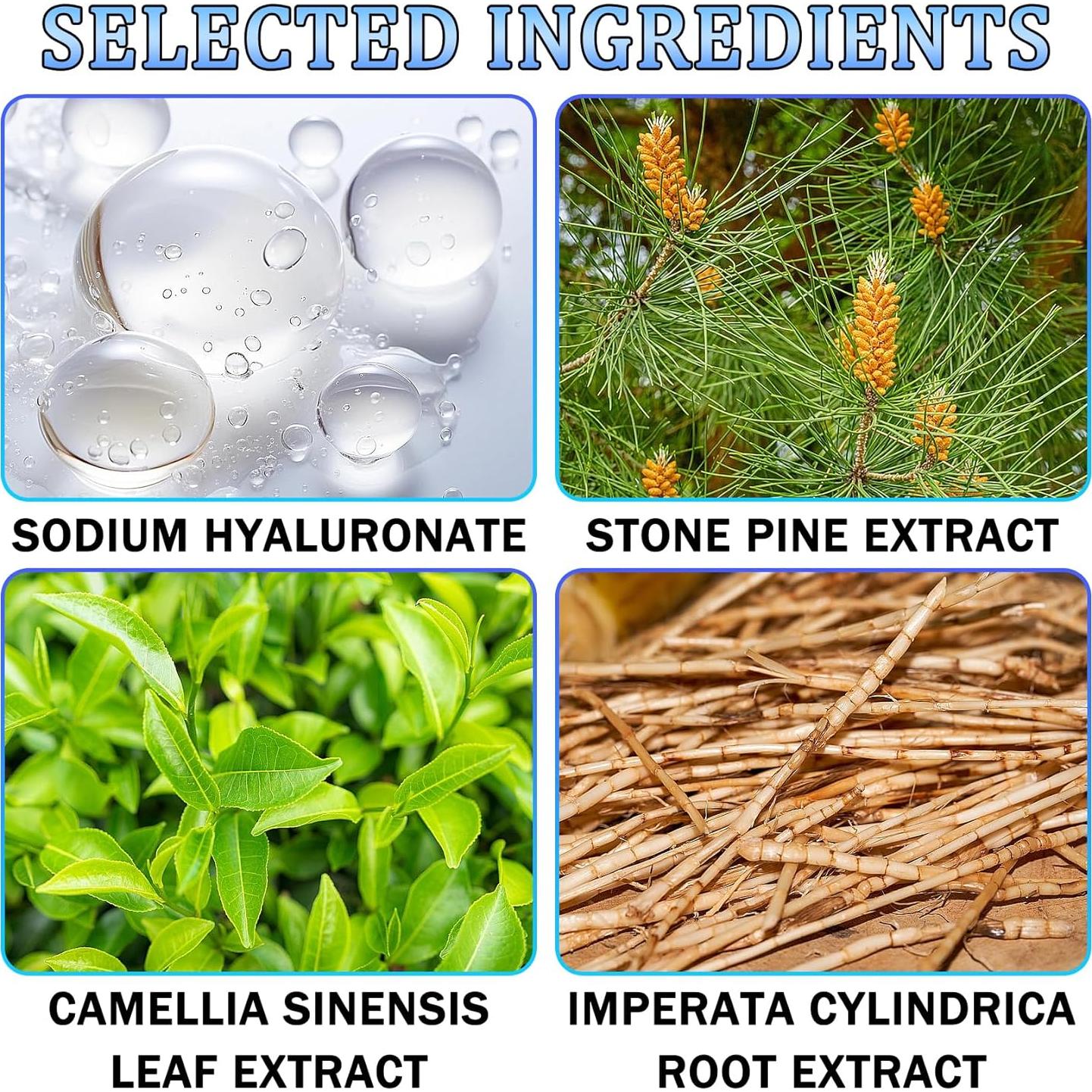 Polvo Fijador Solar DWDiWen SPF 50+, Acabado Mate 40.8g