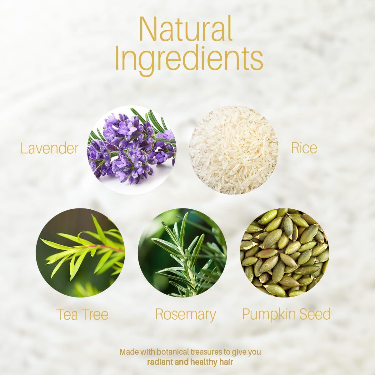 Conjunto de Champú y Acondicionador MYSTÉRE BEAUTE Agua de Arroz 473 ml