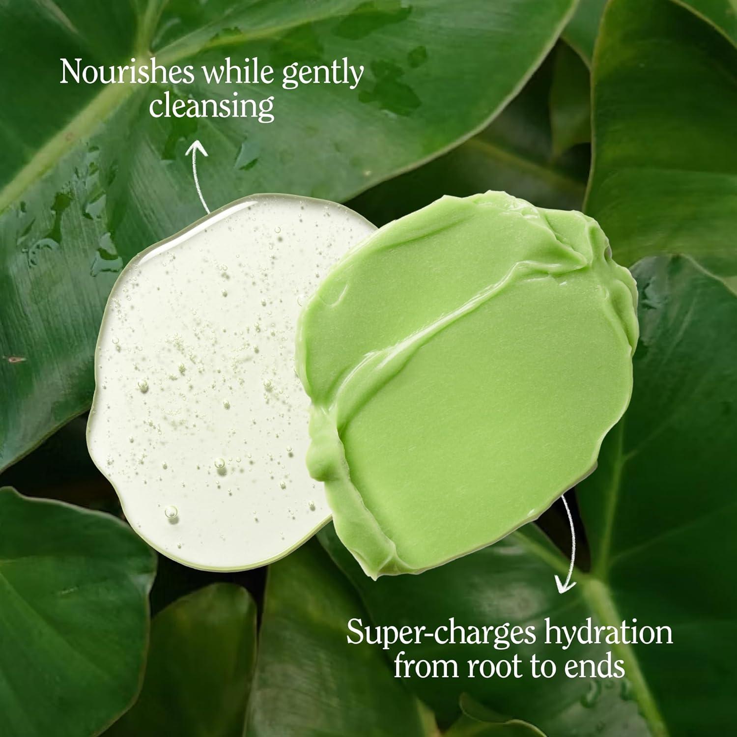 Champú y Acondicionador Hidratante California Naturals 489 ml