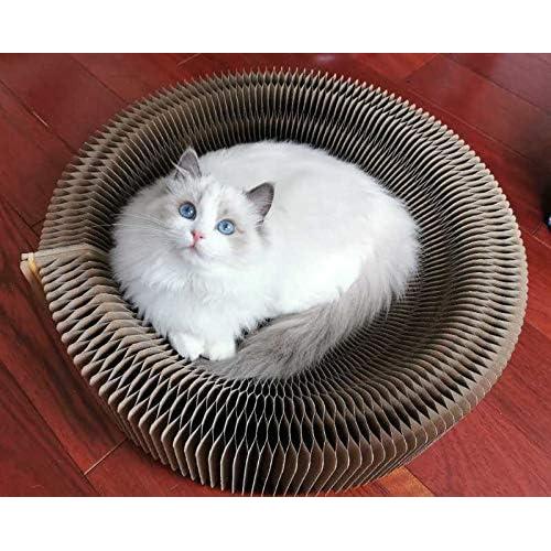 Rascador para Gatos BobbyPet Redondo Plegable 33x19 cm