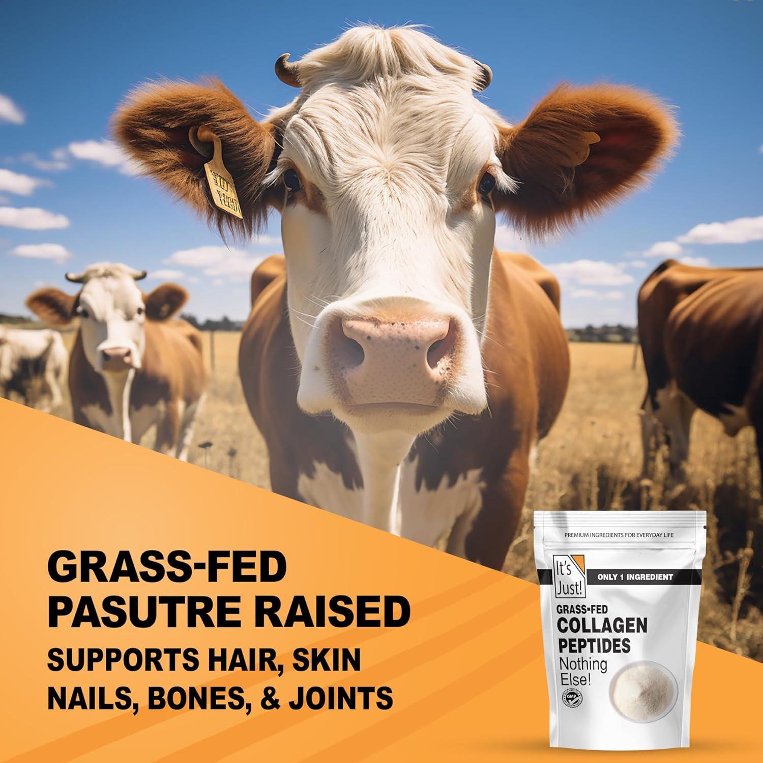 Polvo de Proteína de Colágeno Hidrolizado 0.57kg - ¡Es Justo!