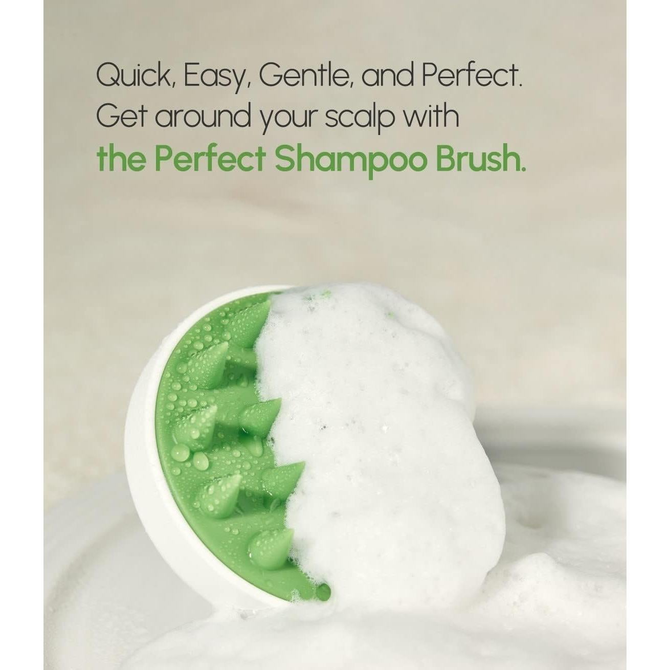 Cepillo de Champú Perfecto STEAMBASE | Masajeador Ergonómico