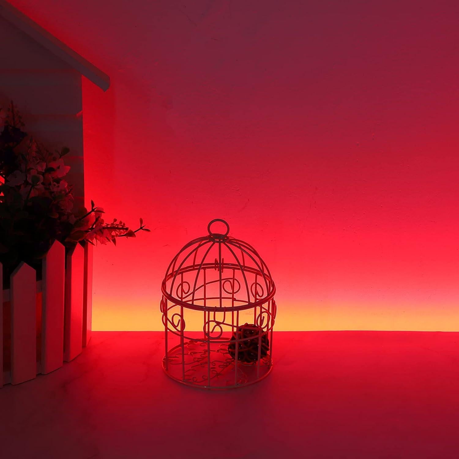 Tira de luces LED roja impermeable SUPERNIGHT 600 LEDs 5m