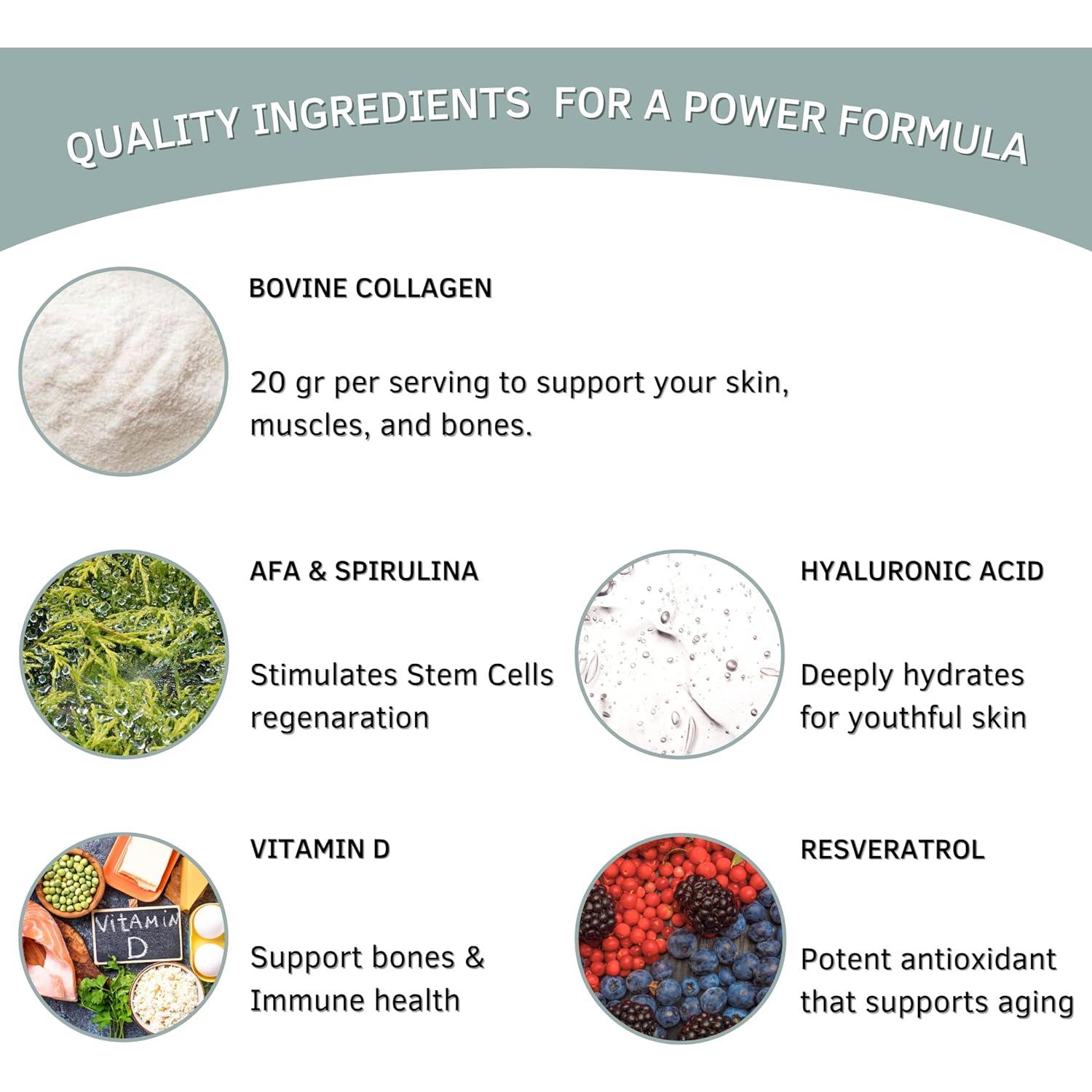 Bioxtron Polvo de Colágeno Tipo I 600g - Sin Sabor, Salud Piel y Cabello